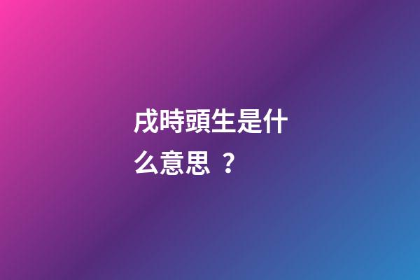 戌時頭生是什么意思？